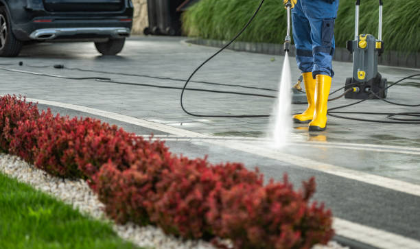 Best Animal Enclosure Cleaning  in Sleepy Hollow, WY
